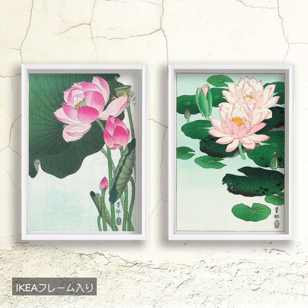 Kawase Hasui Set of 12(A4)＋１(8.5×11) ＋2 Ohara Koson, Japanese Art /Made in Japan ,Kyoto,Woodblock Print, Shipping free